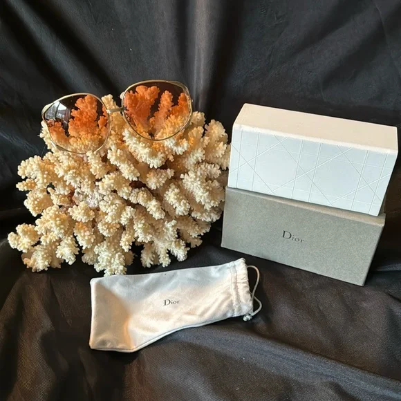 Christian Dior Sunny’s Full Inclusion